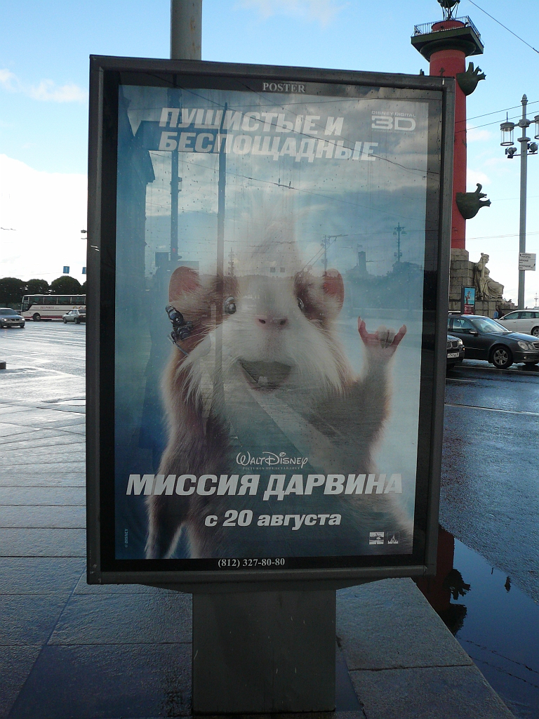 P1080835.JPG