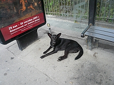 P1090093
