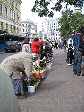IMG_0602