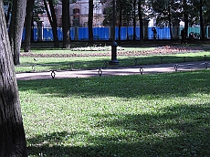IMG_0641