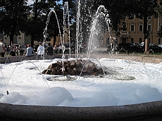 IMG_0668