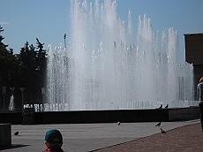 IMG_0683