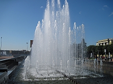 IMG_0687