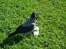 P1090553