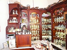 P1090808