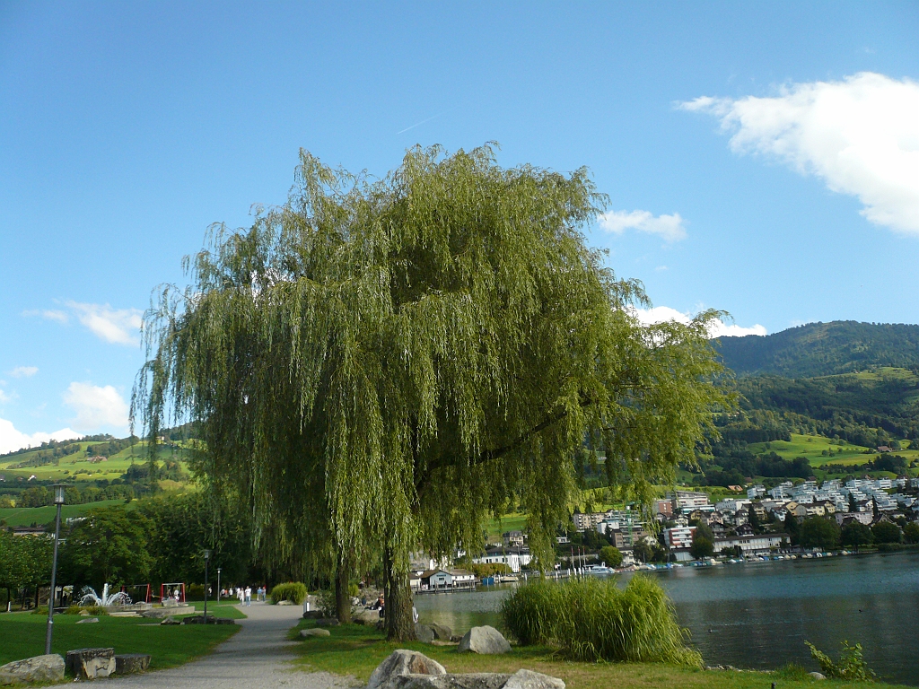P1110058.JPG