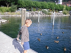 CIMG0211