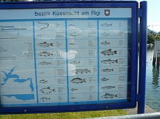 P1110045
