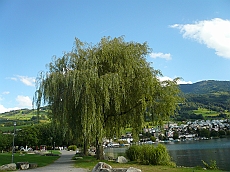 P1110058
