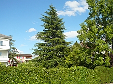 P1110068