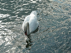 P1110074