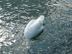 P1110075
