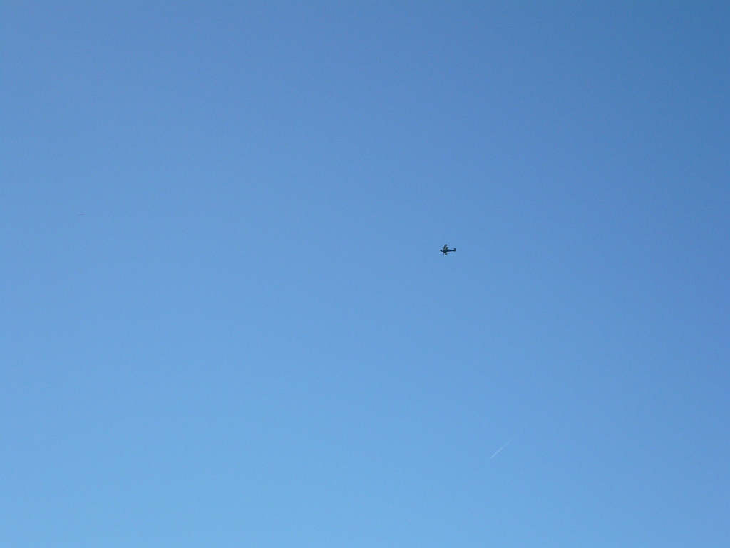 P1110157.JPG