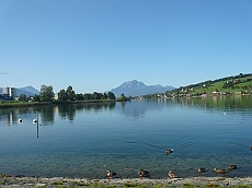 P1110103