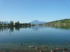 P1110104