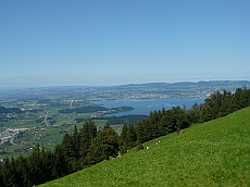 P1110129