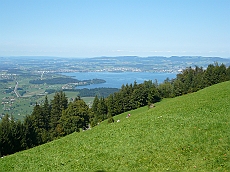 P1110131