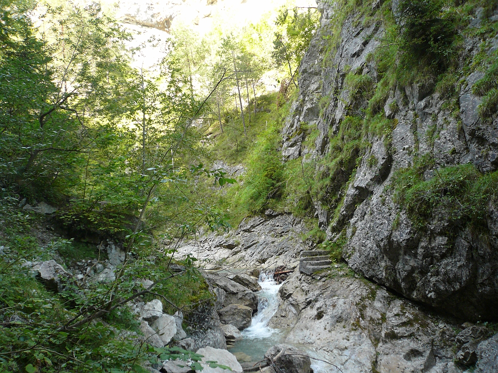 P1110185.JPG