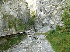 P1110184