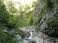 P1110185
