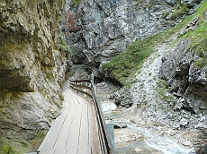 P1110186