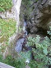 P1110208