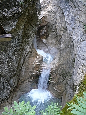 P1110209