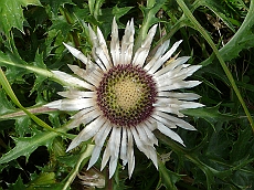 P1110215