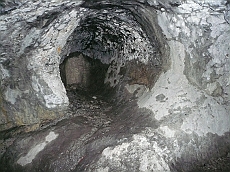 P1110220