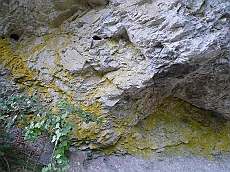 P1110240