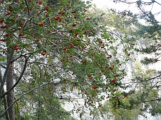 P1110241
