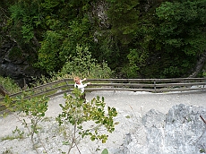 P1110247