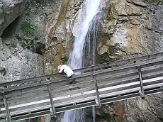 P1110253