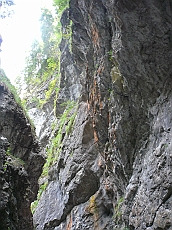 P1110260