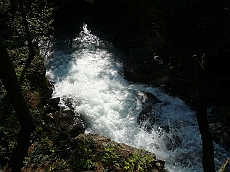 P1110320