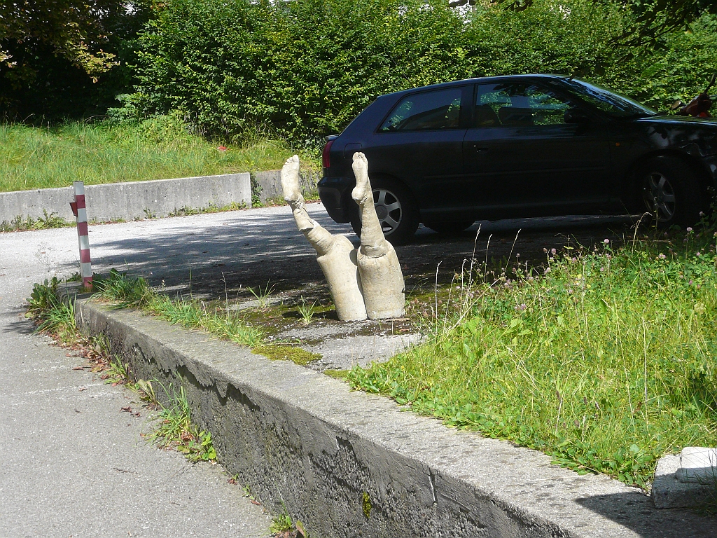 P1110420.JPG