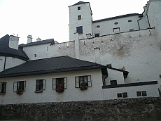 P1110542