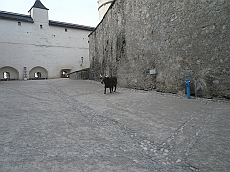 P1110593