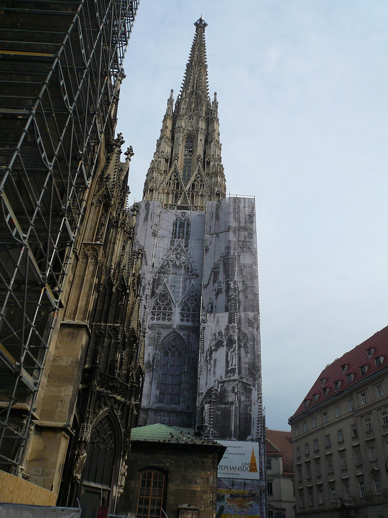P1110789.JPG