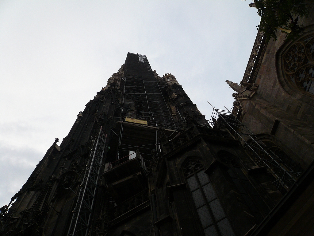 P1110836.JPG