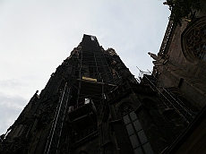 P1110836