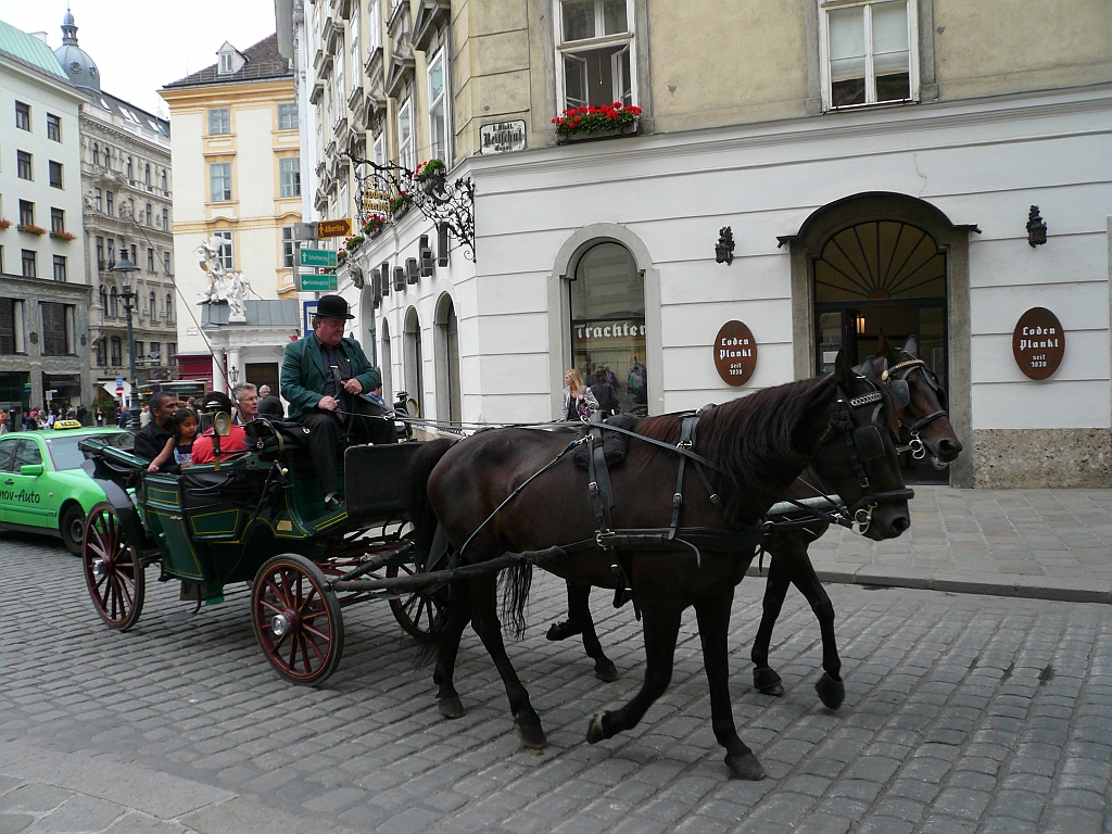 P1110926.JPG