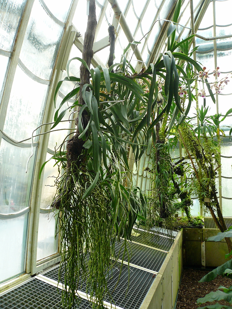 P1120021.JPG