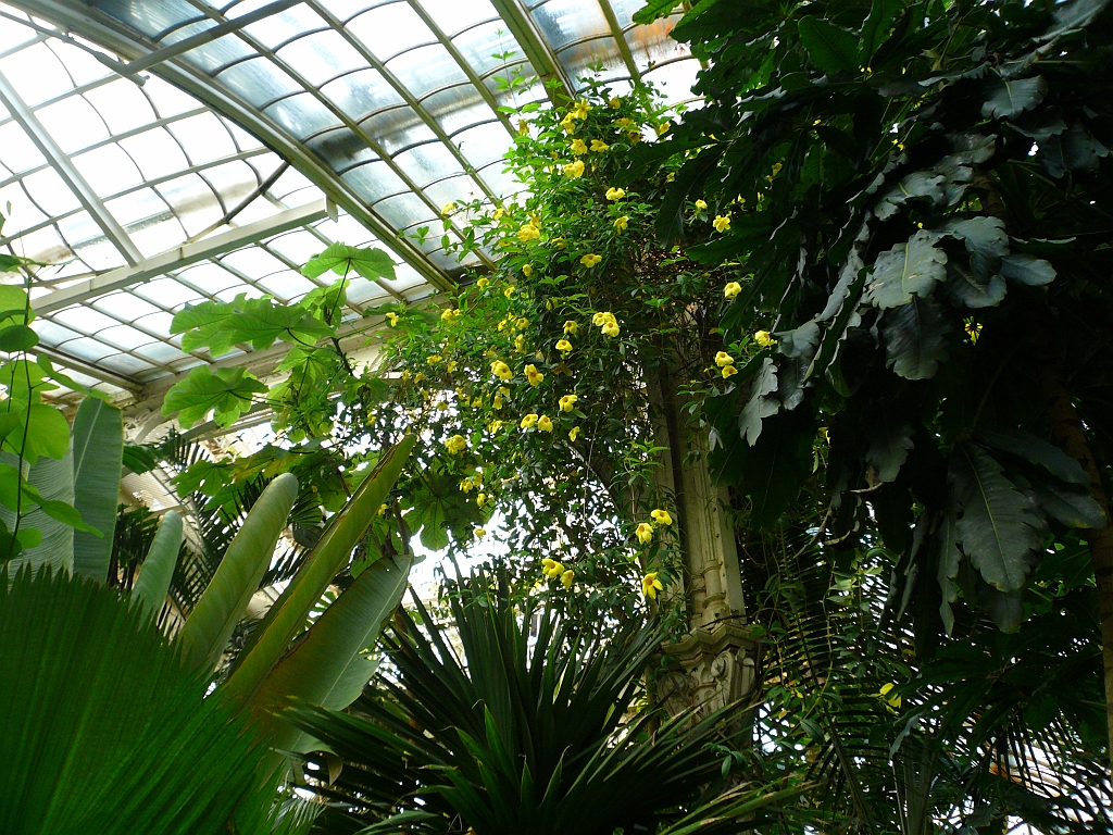 P1120025.JPG