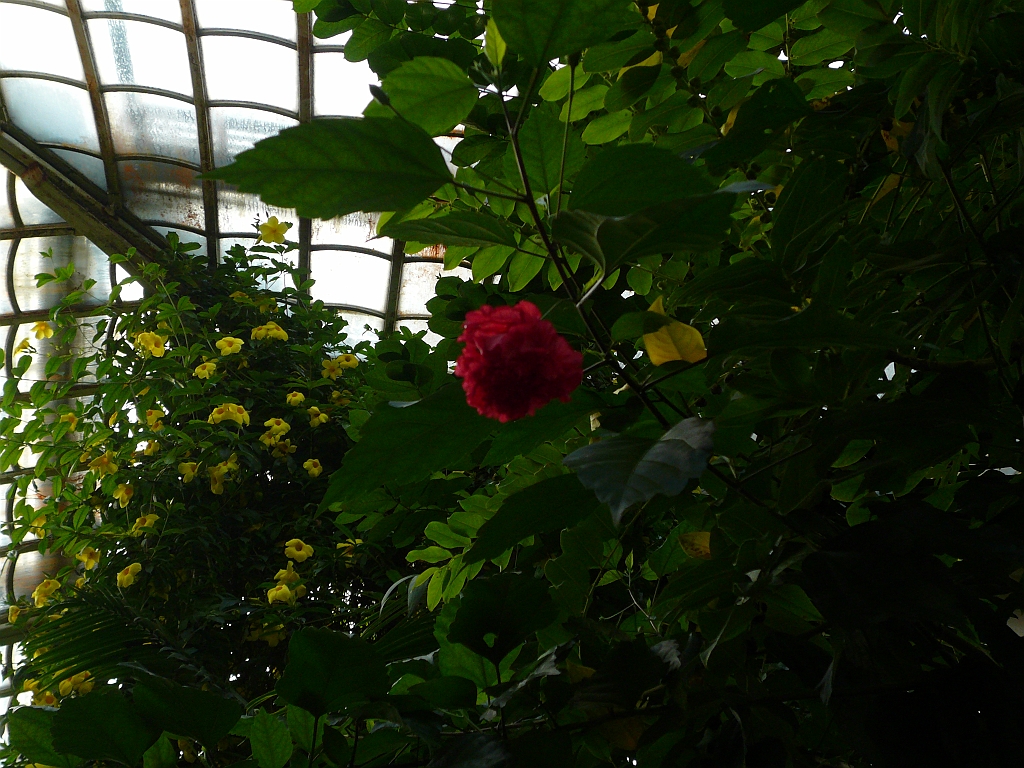 P1120028.JPG