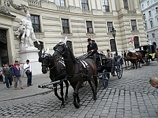 P1110903