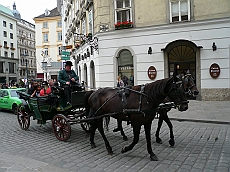 P1110926