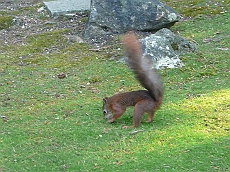 P1110999