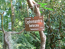 P1120015