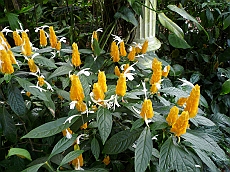 P1120016